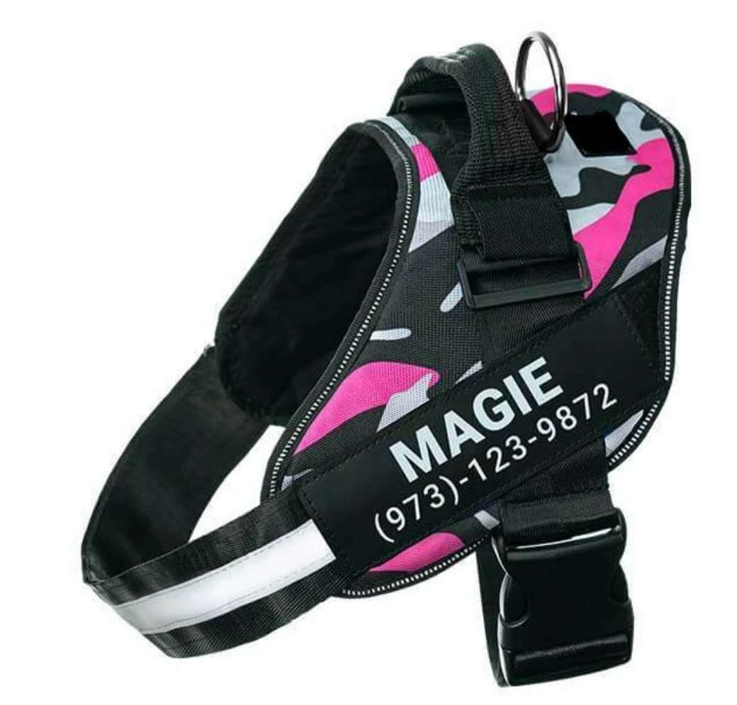 No-Pull Reflective Harness – Personalized for Your Pup