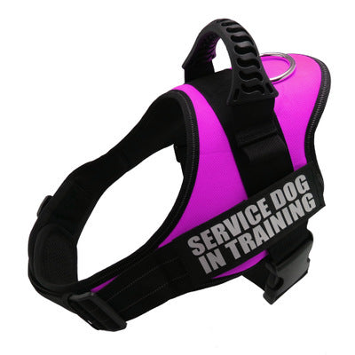No-Pull Reflective Harness – Personalized for Your Pup