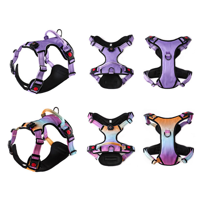 Glow-Up LED Dog Harness – USB Rechargeable Safety