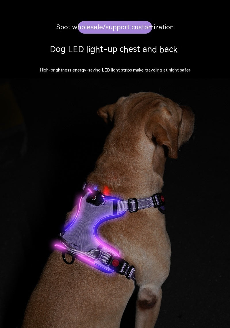 Glow-Up LED Dog Harness – USB Rechargeable Safety