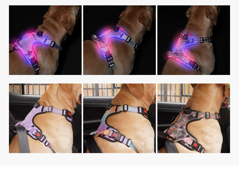 Glow-Up LED Dog Harness – USB Rechargeable Safety