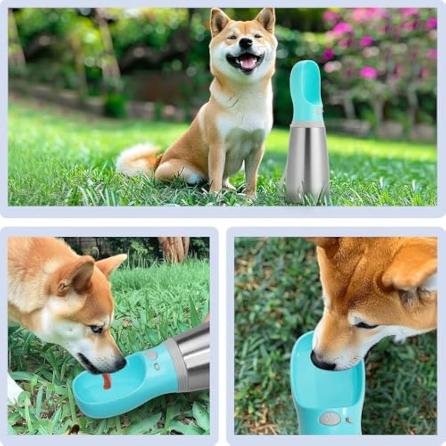 700ml Travel Dog Water Bottle – Spill-Free Hydration