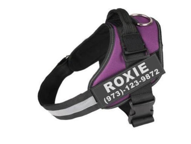 No-Pull Reflective Harness – Personalized for Your Pup