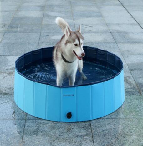 Pet Splash Pool – Foldable Fun for Summer Play