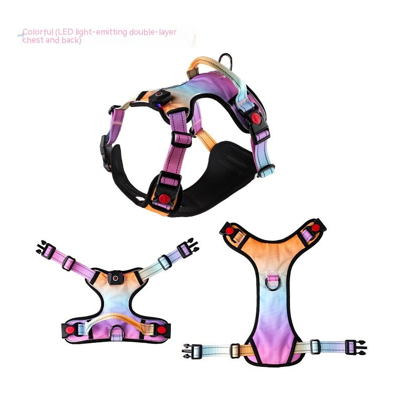 Glow-Up LED Dog Harness – USB Rechargeable Safety