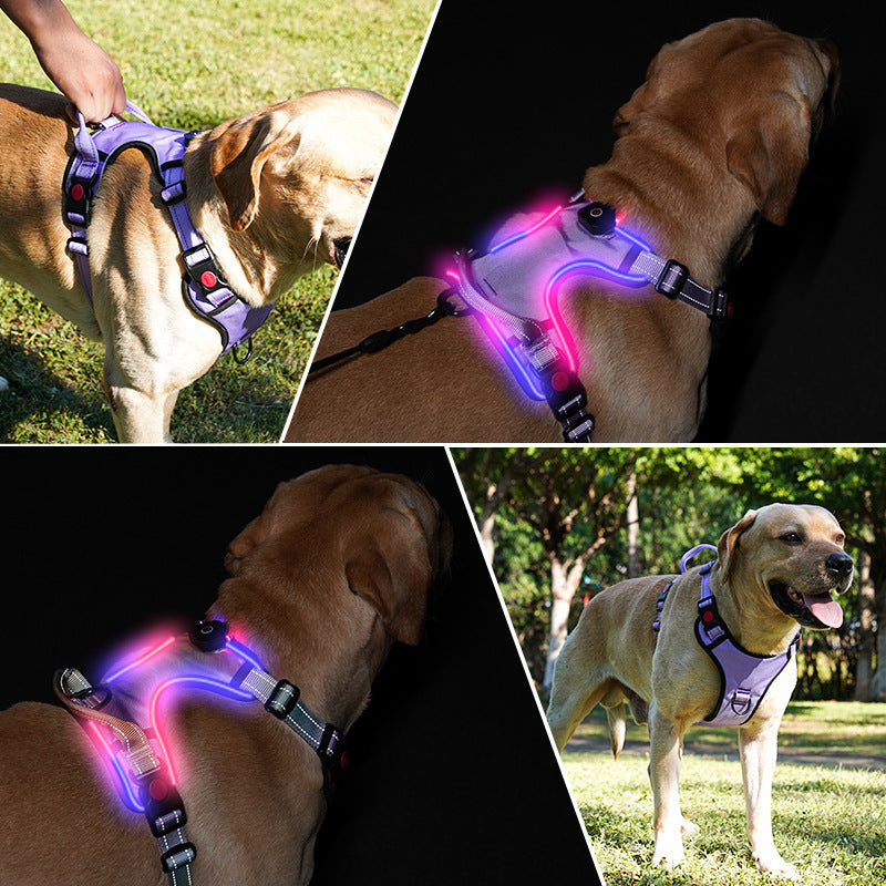 Glow-Up LED Dog Harness – USB Rechargeable Safety