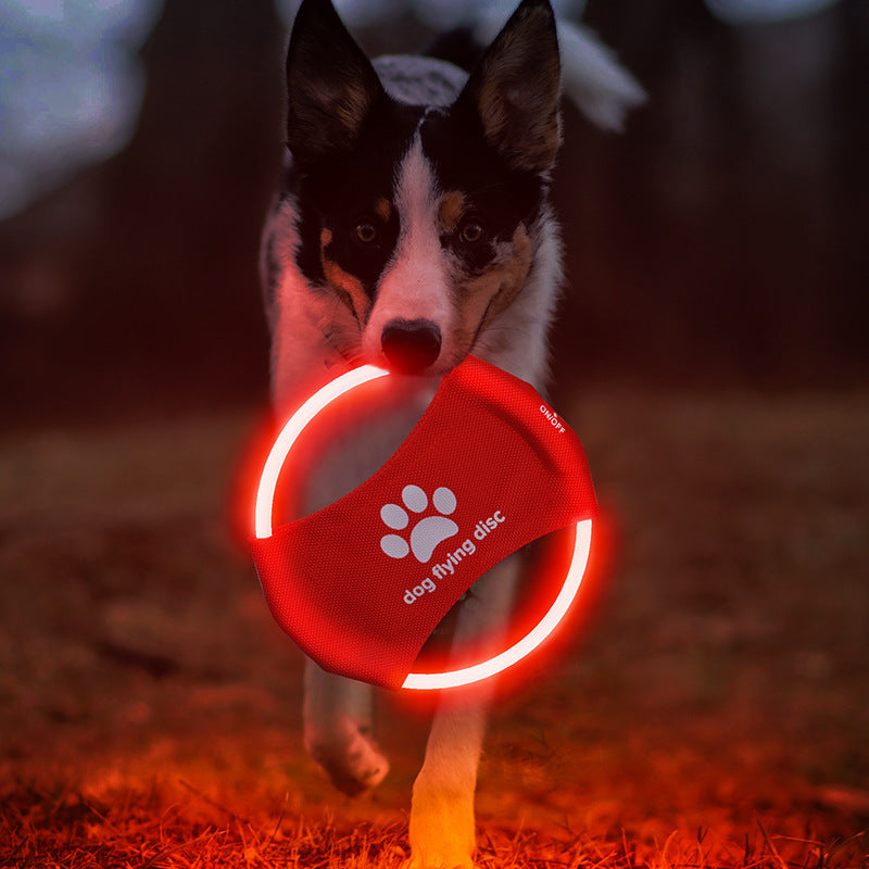 Glow-Up Dog Frisbee – LED Light-Up Flying Fun