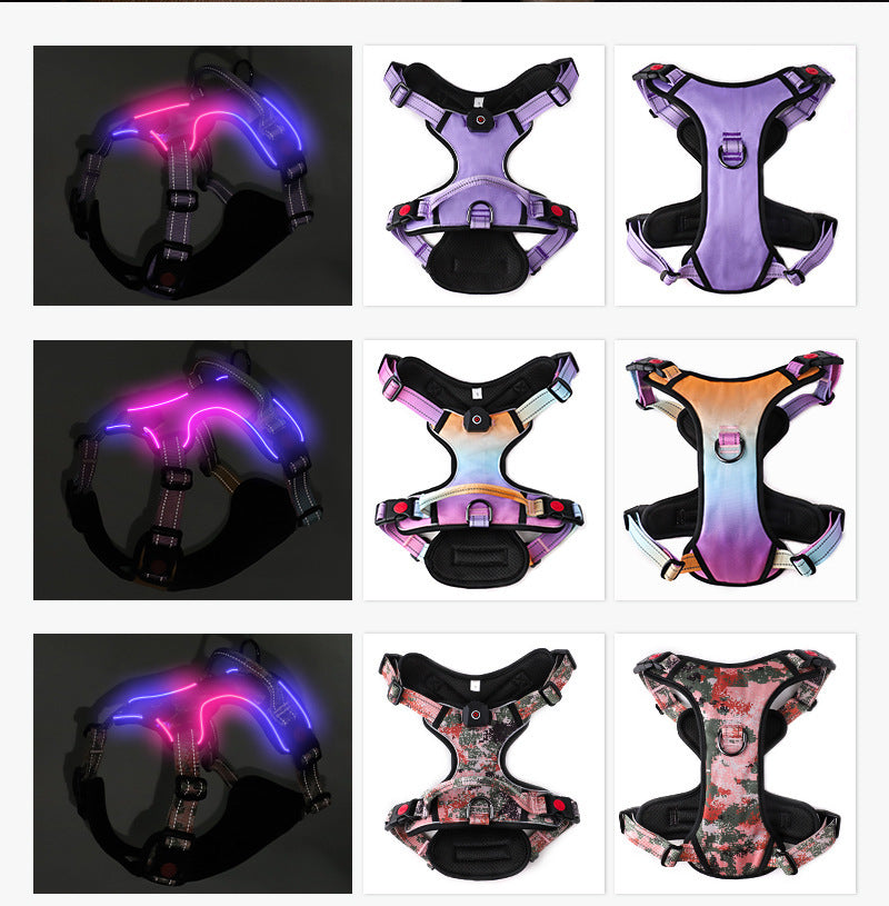 Glow-Up LED Dog Harness – USB Rechargeable Safety