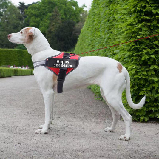 No-Pull Reflective Harness – Personalized for Your Pup