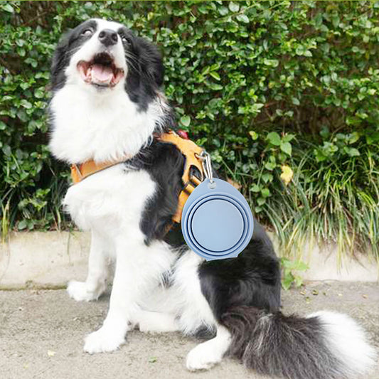 Portable Silicone Pet Bowl – Feed & Hydrate On-the-Go