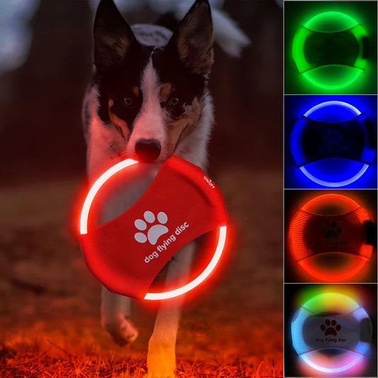 Glow-Up Dog Frisbee – LED Light-Up Flying Fun
