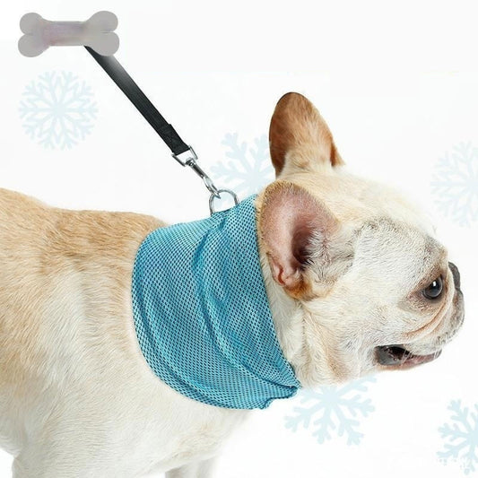 Cooling Bandana Collar – Instant Chill for Hot Days