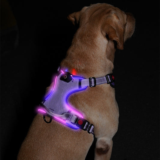 Glow-Up LED Dog Harness – USB Rechargeable Safety